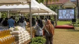Pemkab Morowali gelar gerakan pangan murah dukung ketahanan pangan jelang Hari Pangan Sedunia