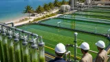 Pertamina Zona 13 Donggi Matindok raih Penghargaan Subroto untuk teknologi penangkap karbon
