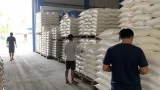 Bulog Tolitoli siapkan 1.700 ton beras untuk kebutuhan enam bulan