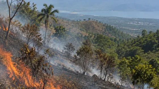 BNPB prioritaskan penanganan karhutla di Sulawesi Tengah seluas 295 hektare