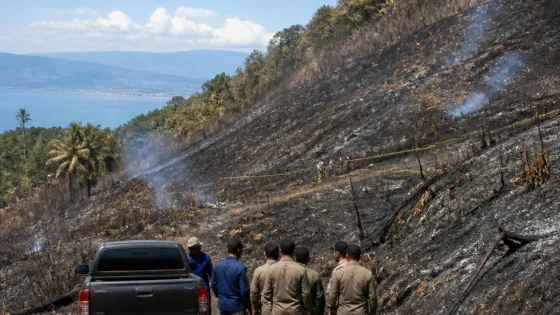 Balai Gakkumhut Palu tangkap terduga pembakar lahan di Sigi setelah kebakaran 60 hektare