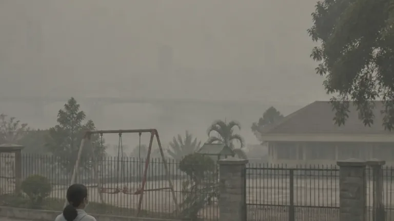Pemkot Palu perpanjang pembelajaran daring mulai 26 Oktober akibat kabut asap karhutla